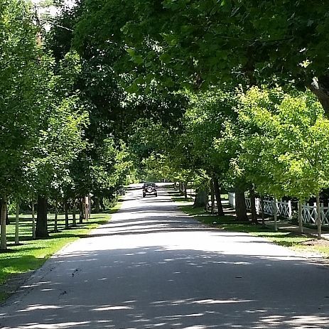 TerraceParkHistoricalSociety